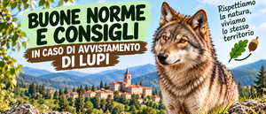 Banner Buone prassi Lupo 2