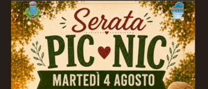 Pic nic 04.08.2026 banner