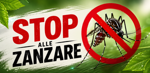 zanzare