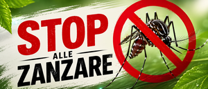 zanzare