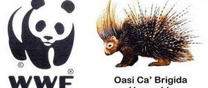wwf oasi ca brigida verucchio