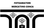 FOTOAMATORI logo